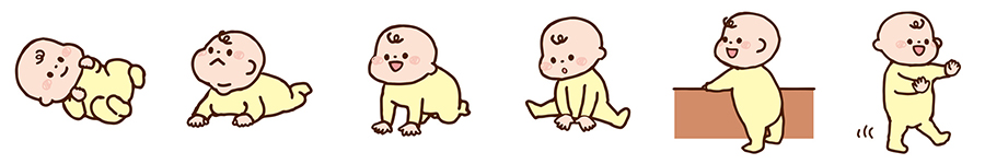 赤ちゃんの成長過程