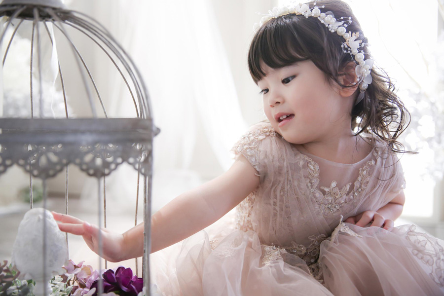 春～夏の七五三前撮りアンケート