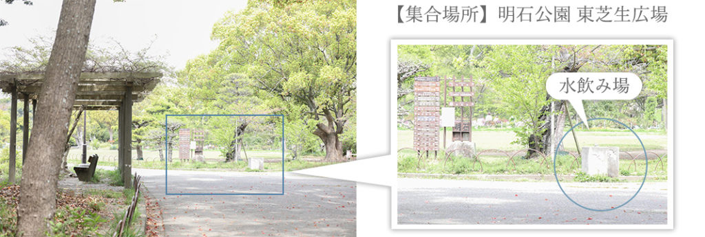 明石公園 待ち合わせ場所