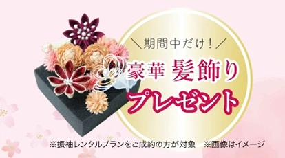 髪飾りプレゼント