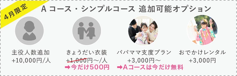 追加オプション