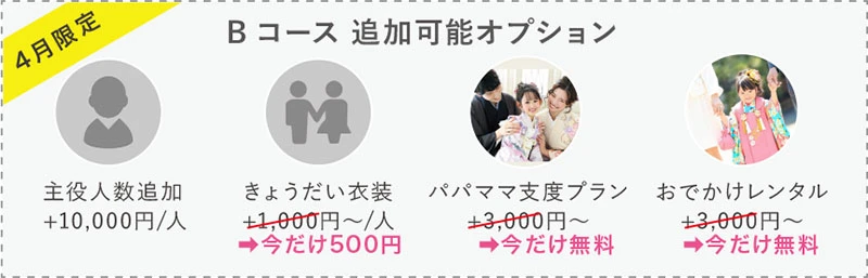 追加オプション