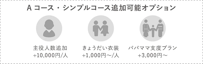 追加オプション